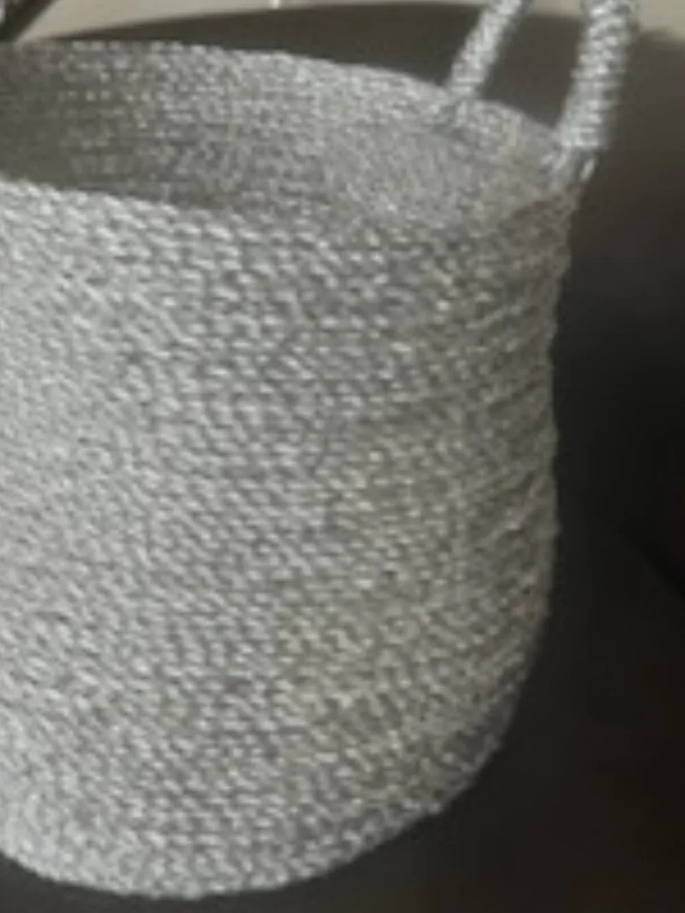 Metallic Woven Storage Basket With Sturdy Handles